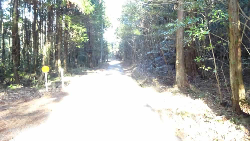 山林 山道